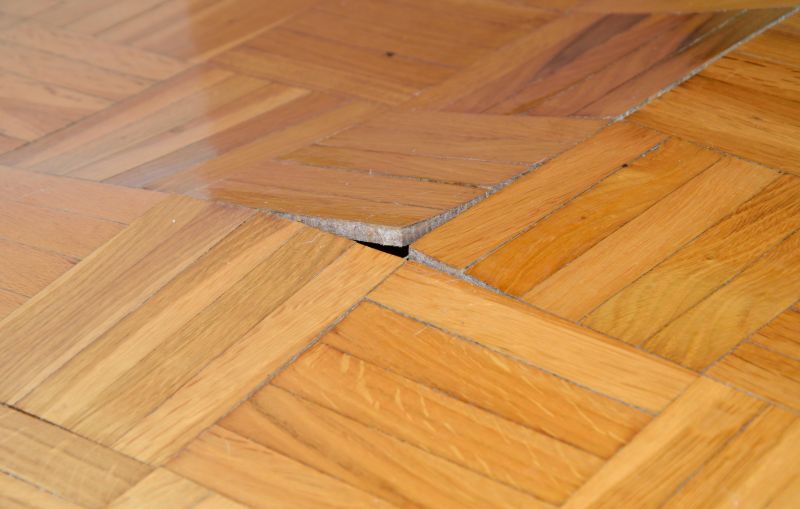 Damaged Floor Boards